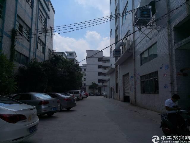 瑞安塘下沙读工业区最新招聘启事,小巷深处的独特风味等你来探索!