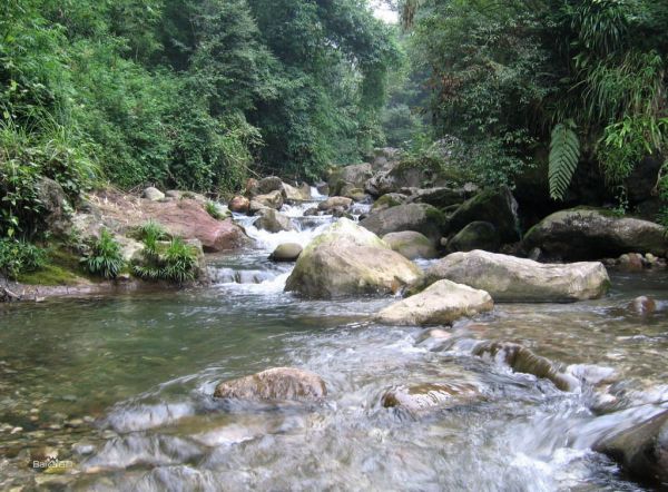 九龙沟风景区最新动态与消息更新