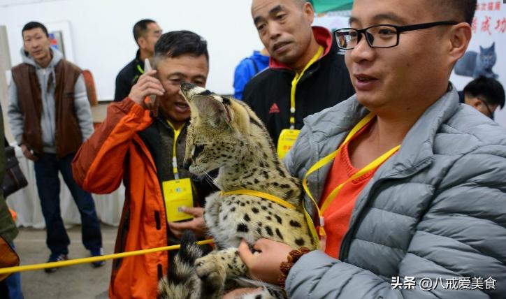 二级建造师的执业范围最新规定,变化带来的自信与成就感提升之路