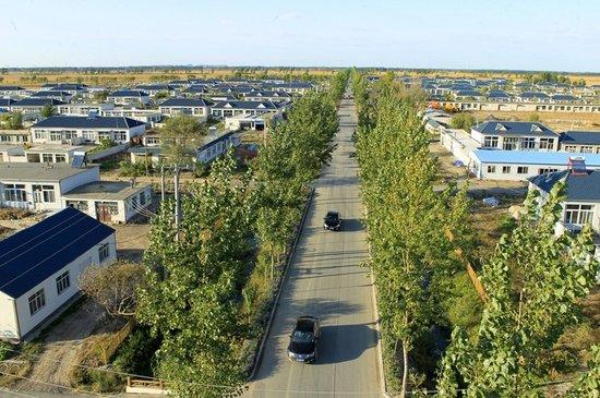 三河市新农村最新动态与消息速递📣🌆