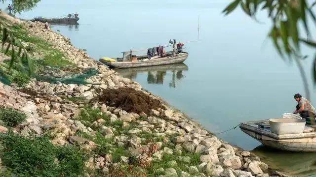 宿迁尚东一号最新进展,自然美景探索之旅的更新动态