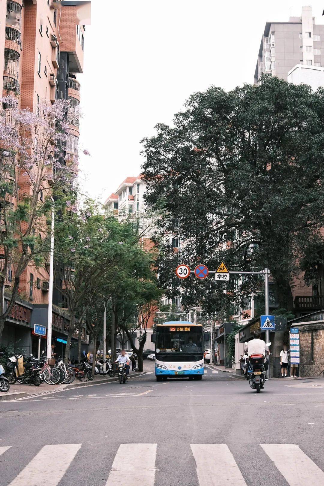 新乡县民政局最新地址探寻，巷弄深处的服务瑰宝