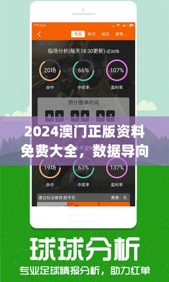 2024年新澳门王中王,解答配置方案_编辑版95.972