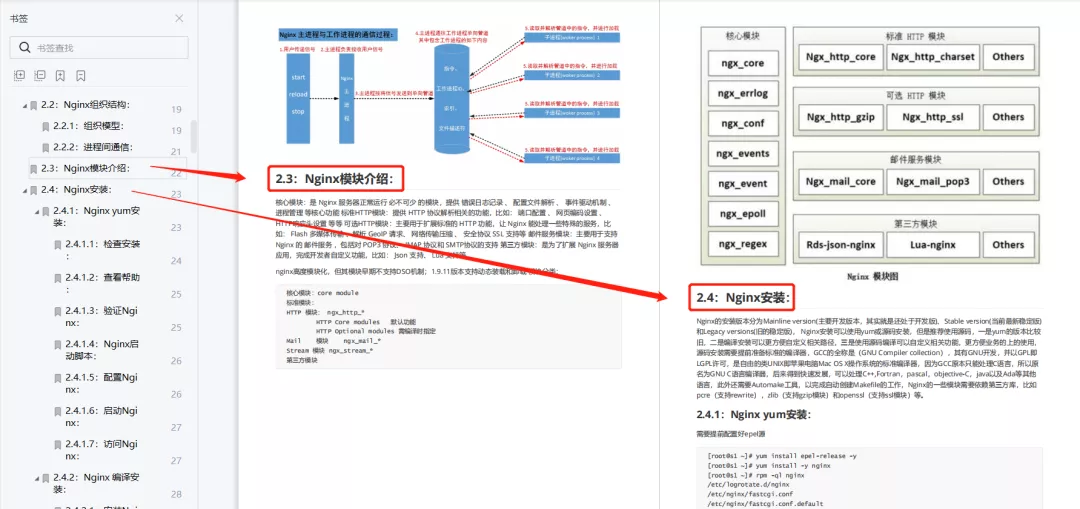 最新nylonjp教程，一步步学会完成任务与学习技能的实用指南