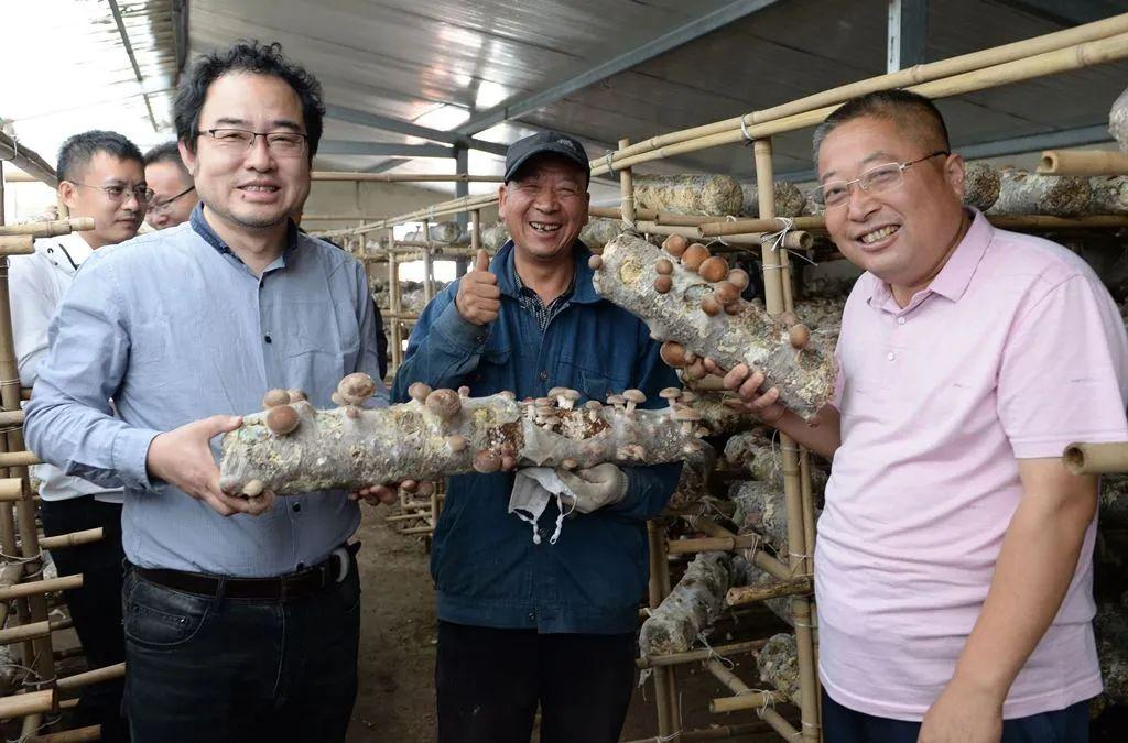 最新27报独家揭秘，引领科技潮流的高科技产品大盘点