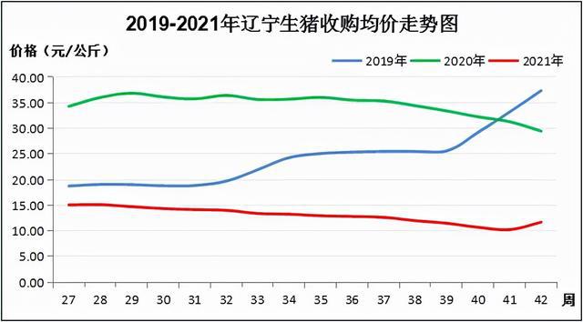 生猪最新价格行情深度解析，巷弄猪肉市场动态分析