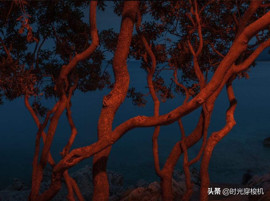 二十四小时最新,自然美景的奇妙旅行探险