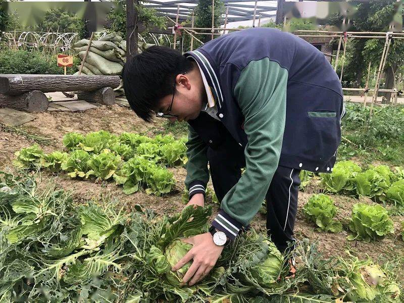 北京最新疫情高中危地区，温馨日常关注与应对