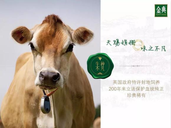 科技引领黄金新纪元,最新黄金价格探索!