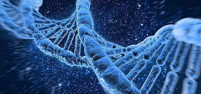 最新生物基因工程领域，小巷中的生命科技奇点突破