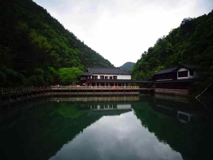 古驰蜜蜂包最新款,自然美景的探索之旅