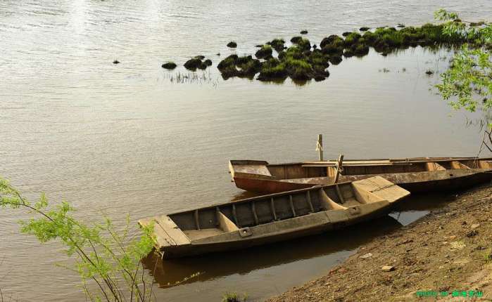 古驰蜜蜂包最新款,自然美景的探索之旅