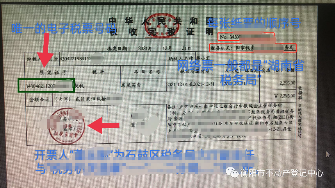 美国各州计票最新动态及解读计票信息步骤指南