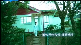 灯花笑第145章，小巷独特风味探寻之旅