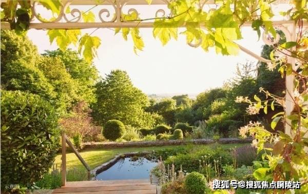 最强圣手最新章节深度解析与观点阐述