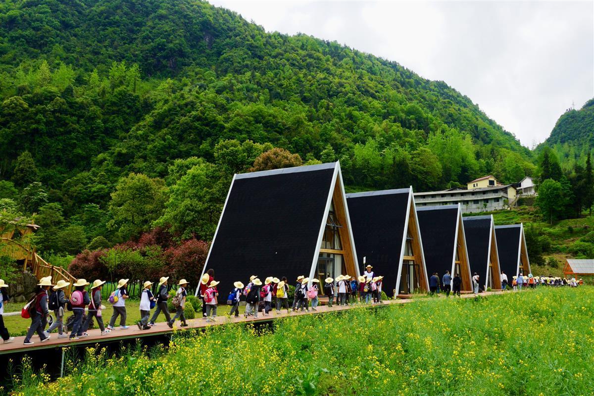 溪谷最新动态,变化中的学习之旅,自信与成就感的培育地