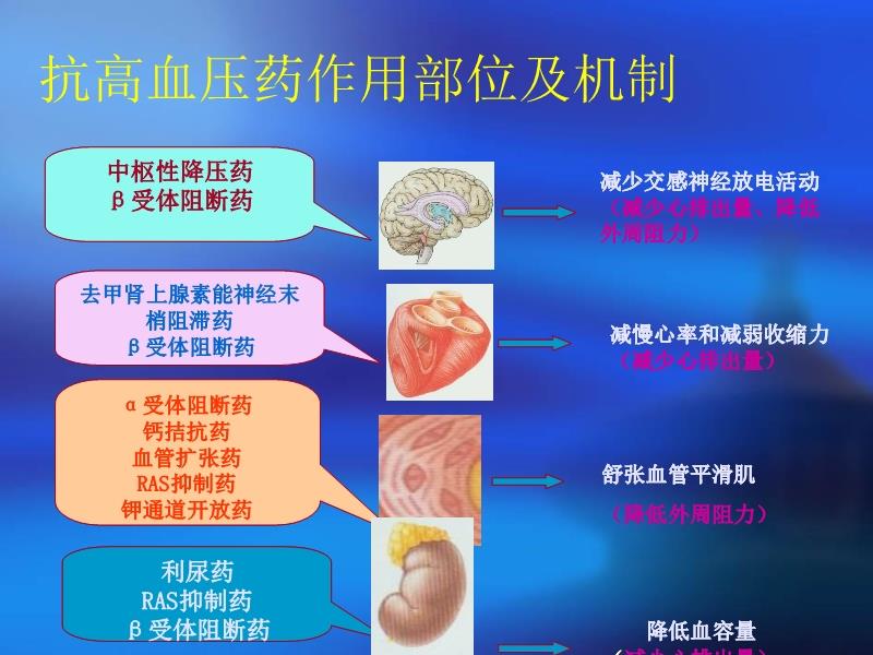 弱势儿童多元教育 第162页