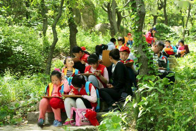 草莓最新地址，自信与成就之旅的蜕变学习之路