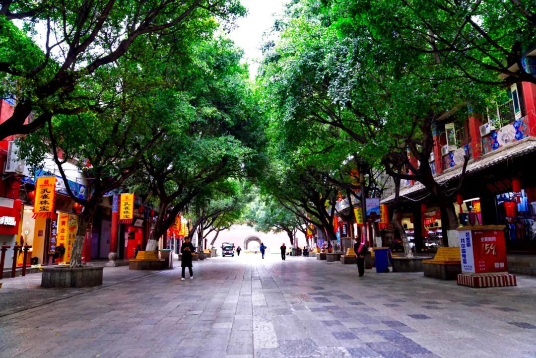 探索城市魅力，巷弄深处的特色小店最新城市剧盘点