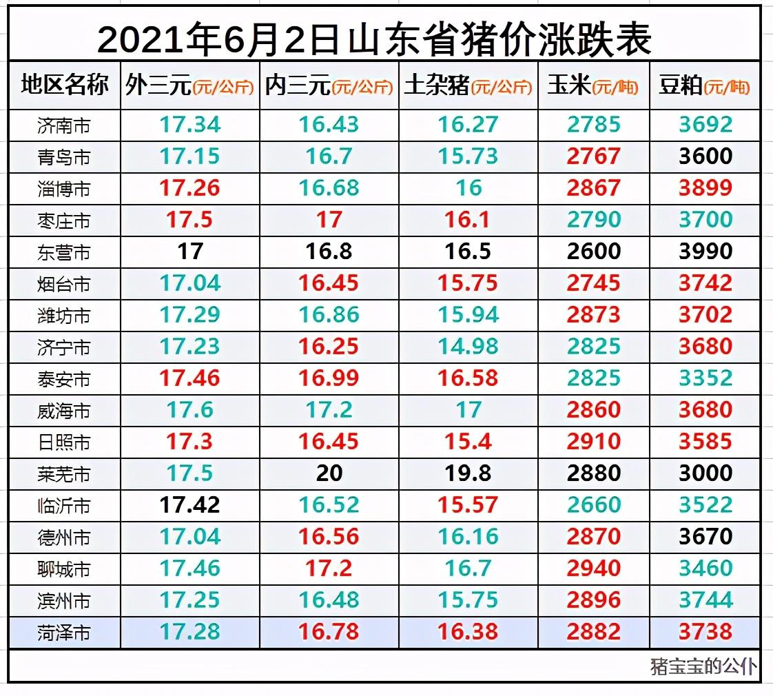山东玉米最新价格变化揭示机遇与励志力量