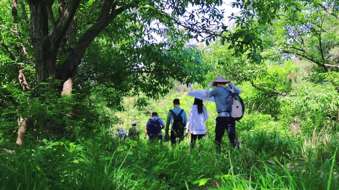 草棚下的自然之旅,邂逅美景,寻找内心平和