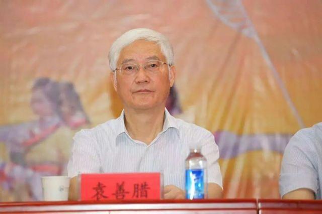 提前退休最新动态及消息更新