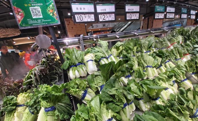 山东寿光最新动态，蔬菜之乡的温馨日常报道