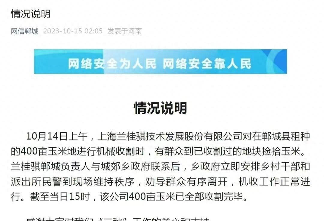 周口玉米最新价格动态，机遇与自我超越的力量探索