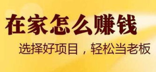 最新挣钱项目观点论述与探索