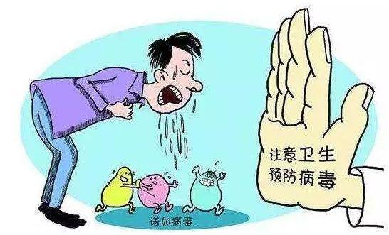 山东最新传染病，背景、事件进展与影响概述