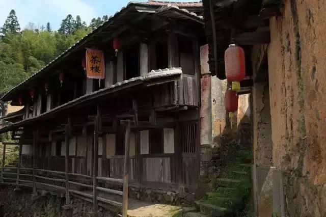 福建最新动态，小巷深处的独特风情揭秘