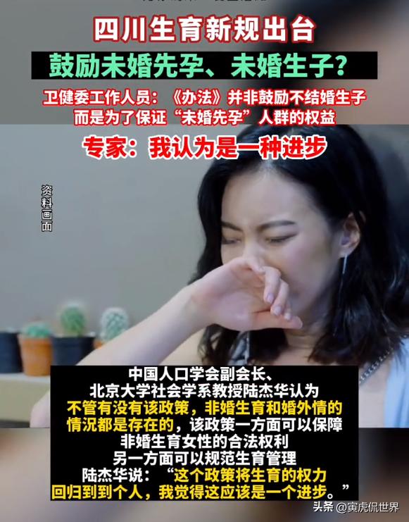 最新非婚生子政策，勇气与自信的力量重塑生活选择之道
