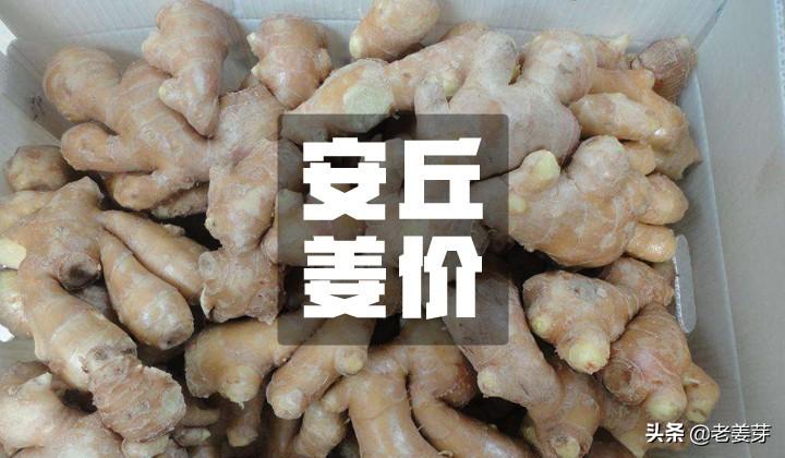生姜价格最新价格行情,🌿生姜价格最新价格行情🌿