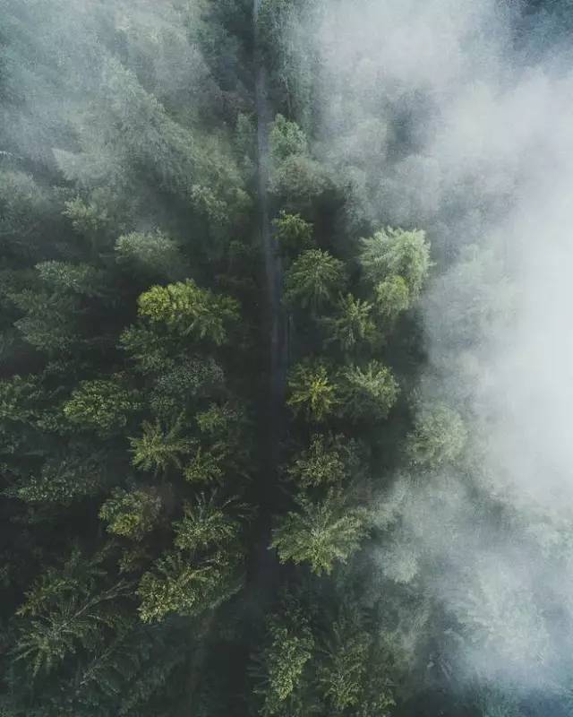 KMS最新探索之旅，自然美景中的心灵寻觅与宁静追求