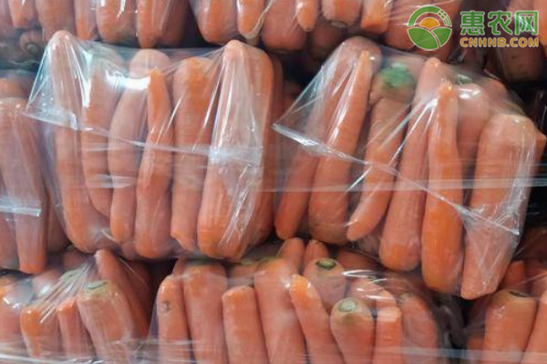 胡萝卜价格最新行情动态更新 🍊🍅新鲜行情报道