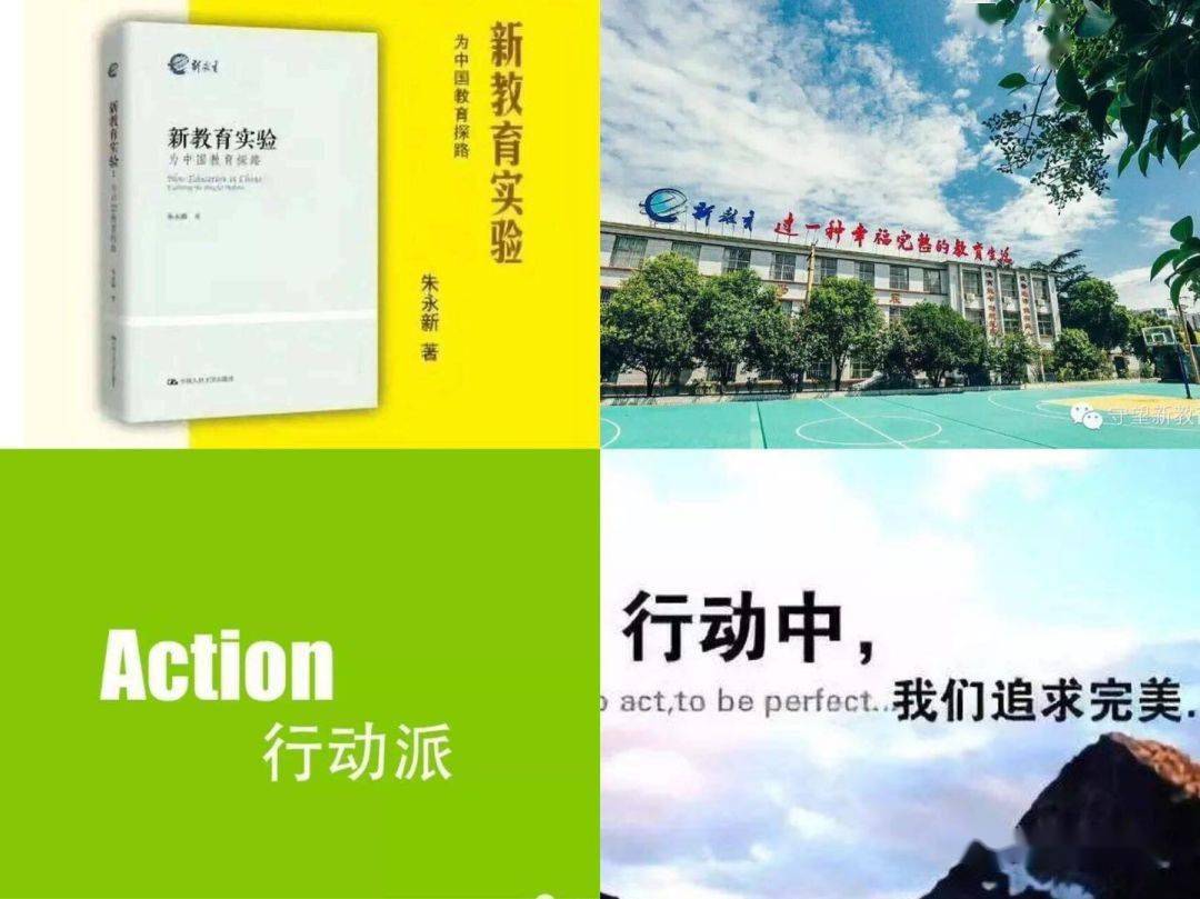 时代浪潮中的文化印记，最新章节阅读指南