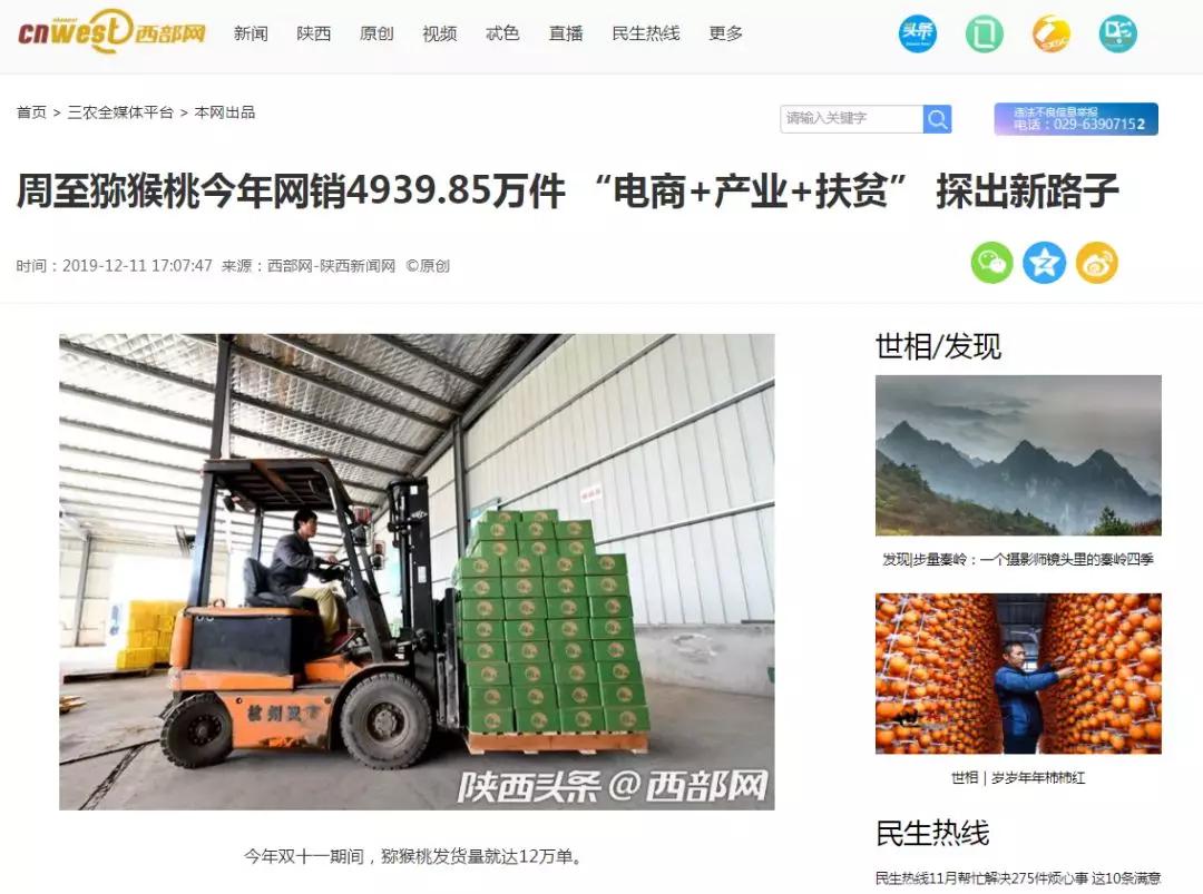 周至新闻最新动态速递