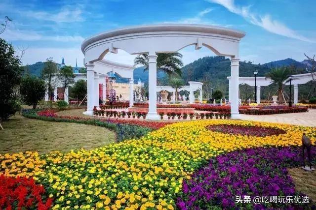清华大学生医药校友会 第63页