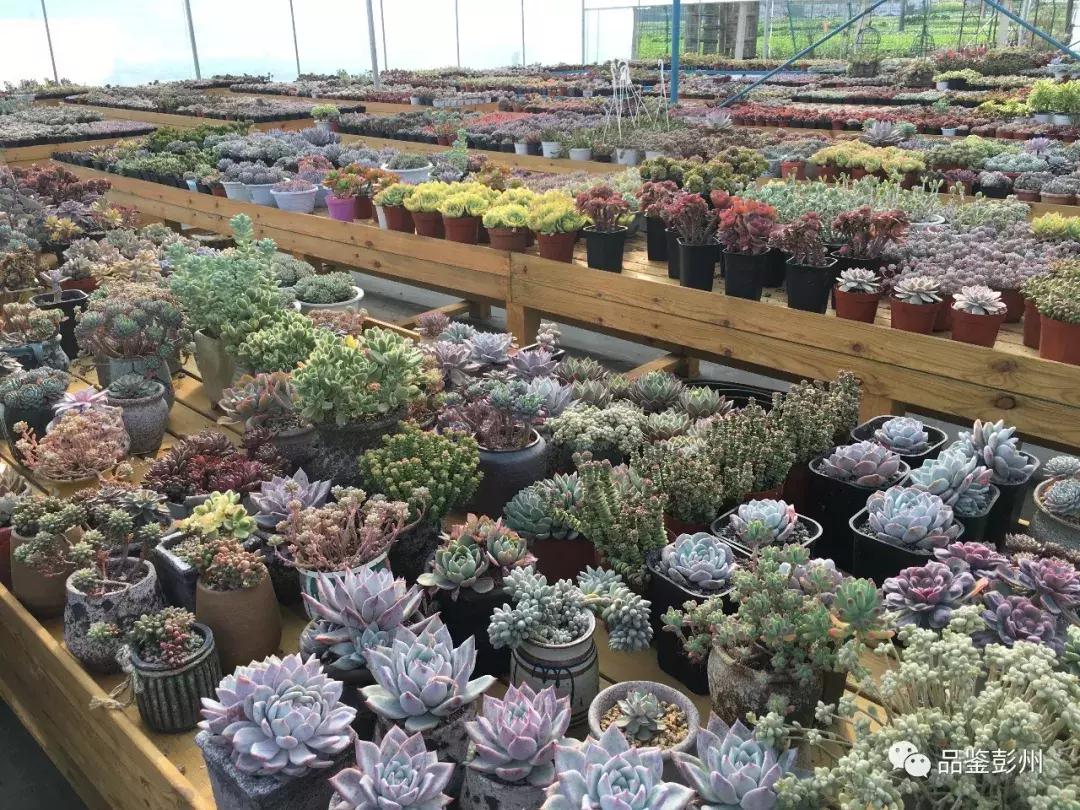 探索特色小店魅力，最新二维码群带你发现小巷中的秘密邂逅