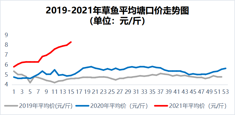 最新草鱼价格行情走势分析与预测