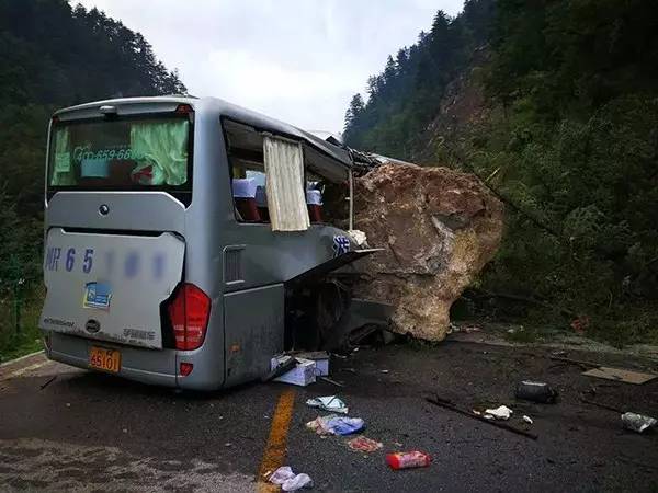 温州地震实时更新，最新消息与动态