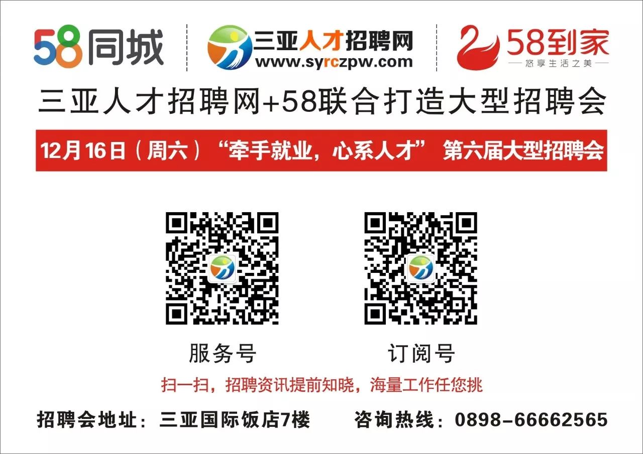 三亚最新招聘信息汇总，深度解析三亚招聘网最新招聘动态