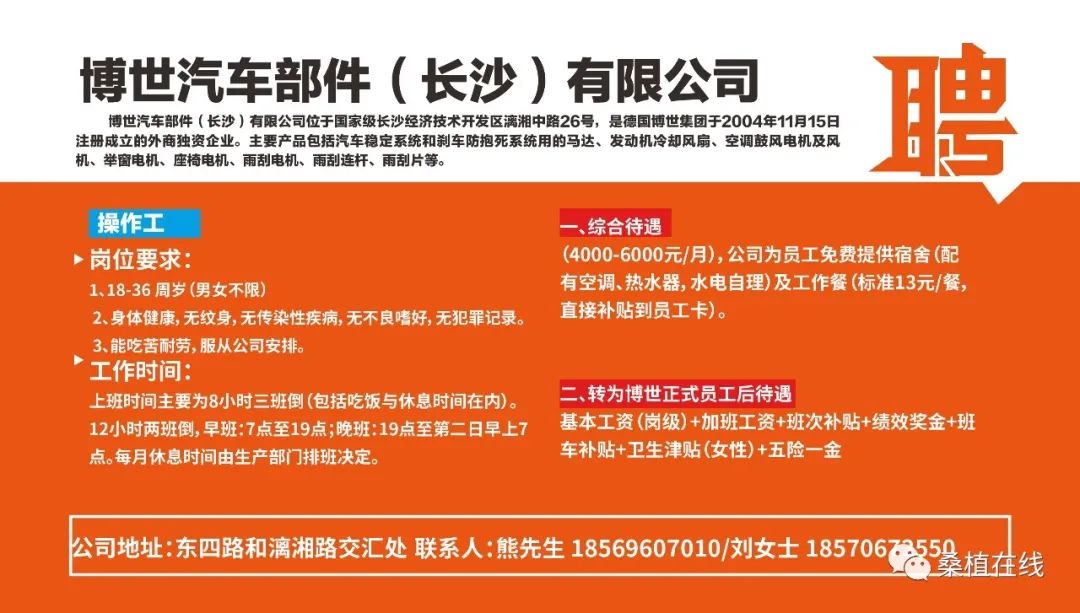 商河招聘网最新招聘信息汇总，求职全步骤指南