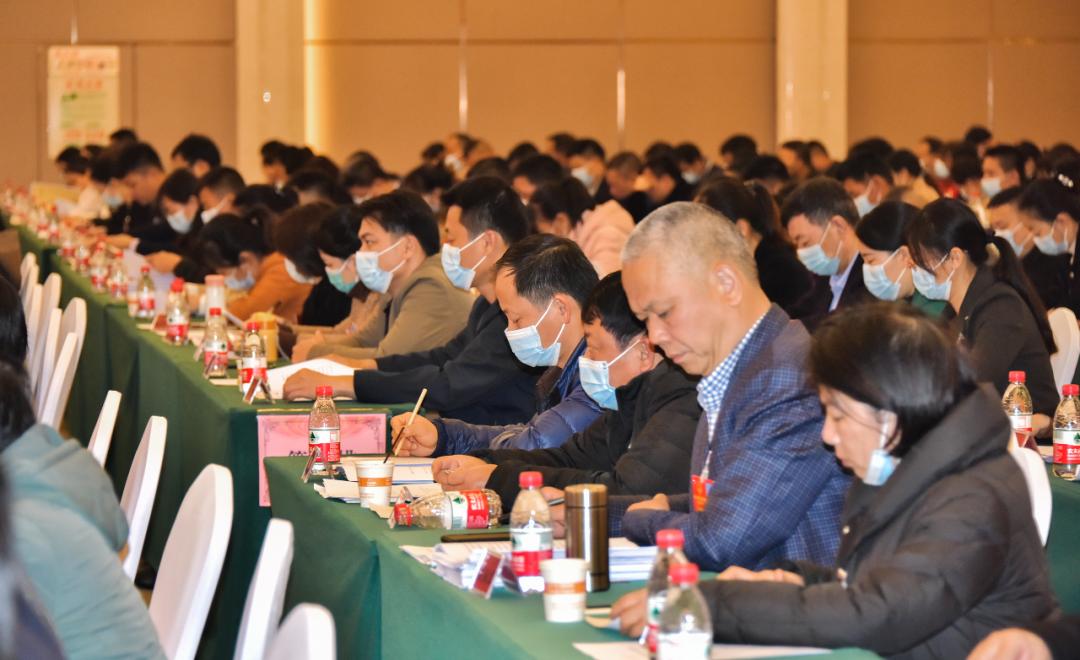 南宁楼盘最新动态，追逐梦想舞台，成就自信辉煌生活