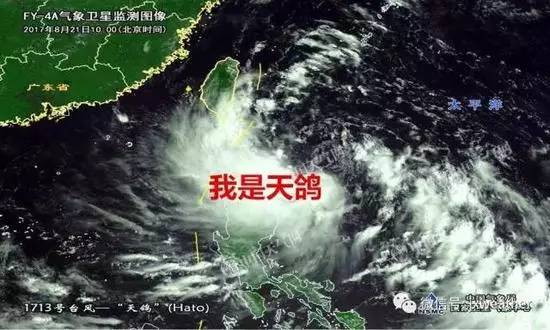 台风天鸽最新动态，追寻自然美景的奇妙旅行之旅