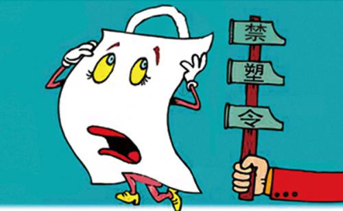 禁塑令最新动态，塑料的奇妙冒险之旅揭秘！