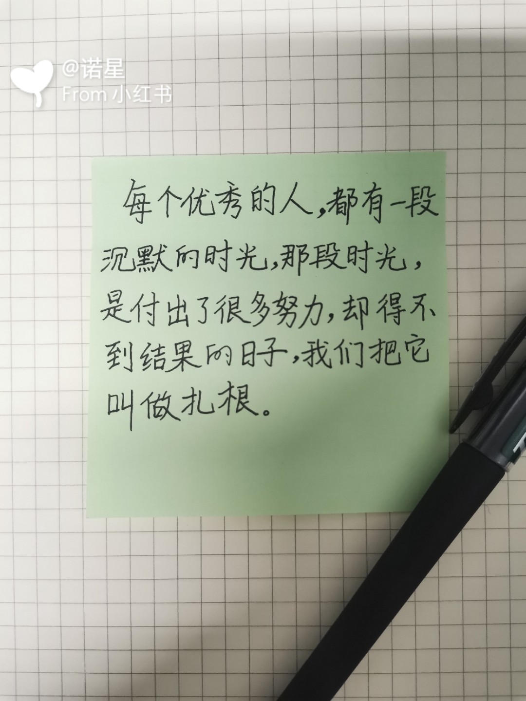 善弱势儿童教育环境 第28页