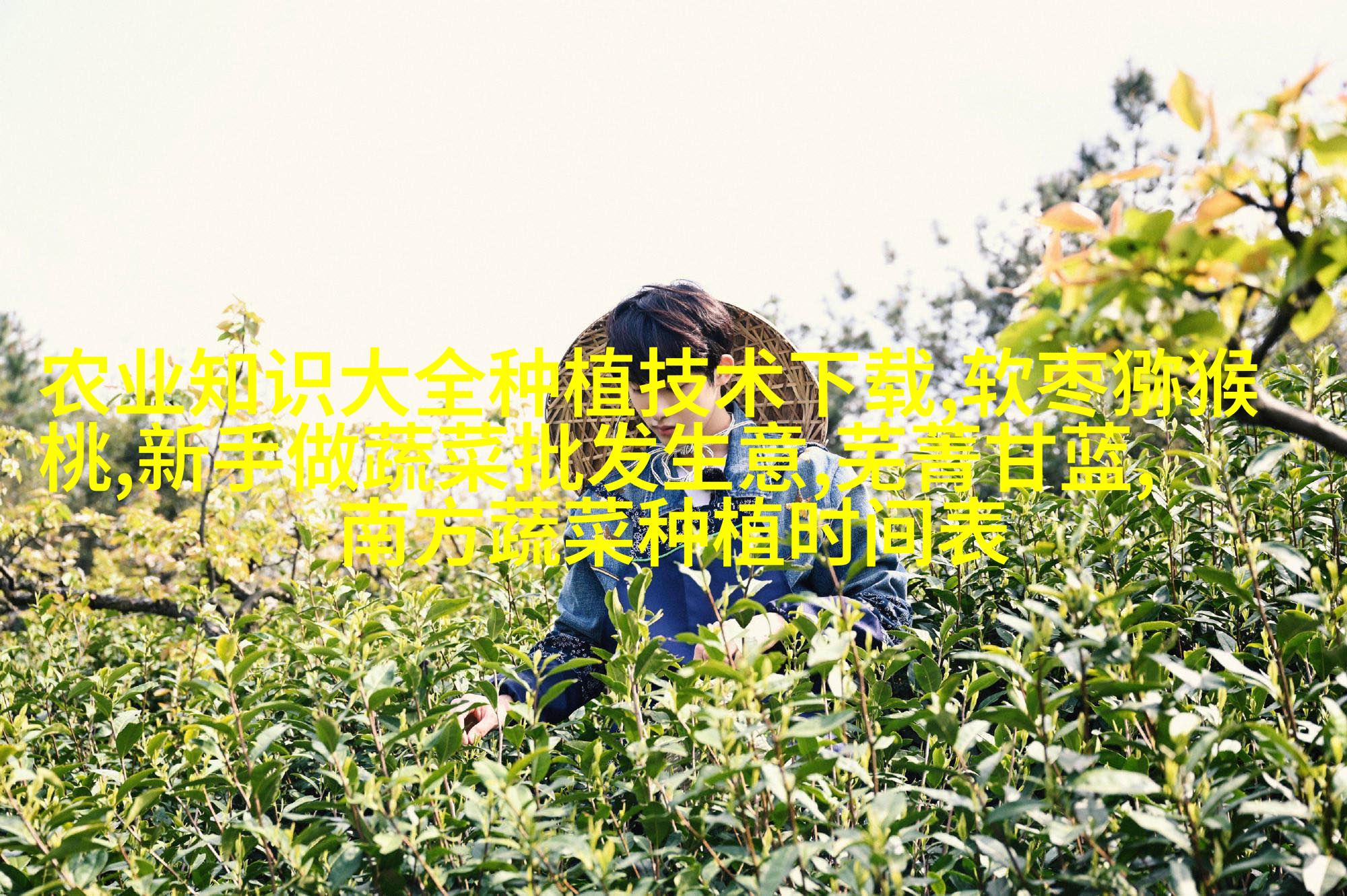 革新农业，最新种植技术引领未来发展趋势