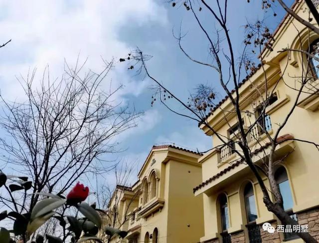 上海房价最新动态,巷弄深处的隐藏瑰宝