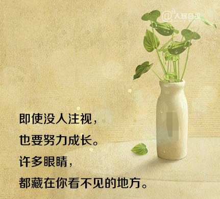 探索未知励志力量的最新励志视频，小巷深处的特色小店的力量之源